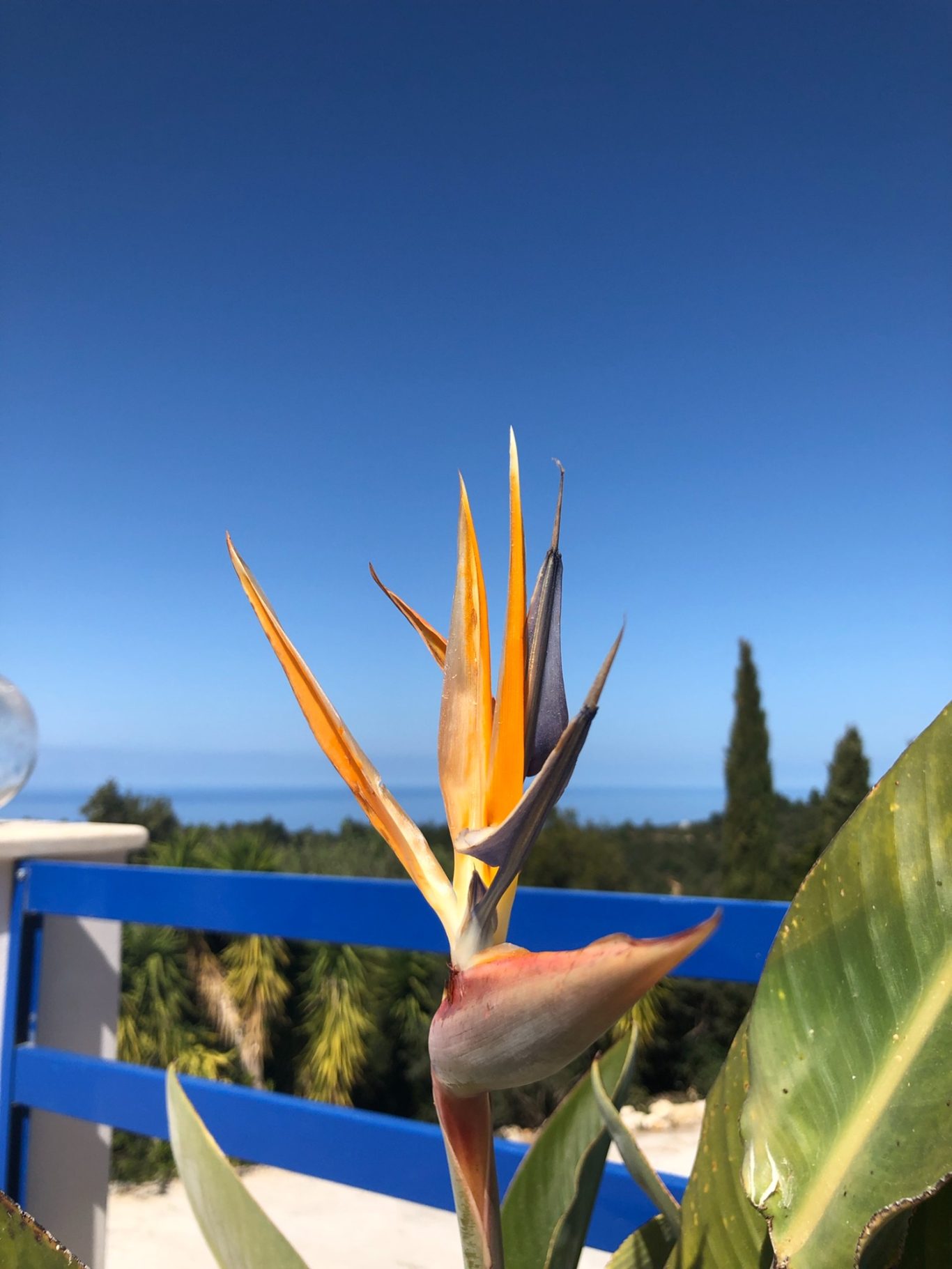 Rund ums Haus Rund ums Haus