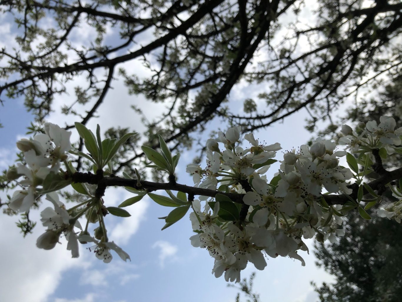 Rund ums Haus Rund ums Haus