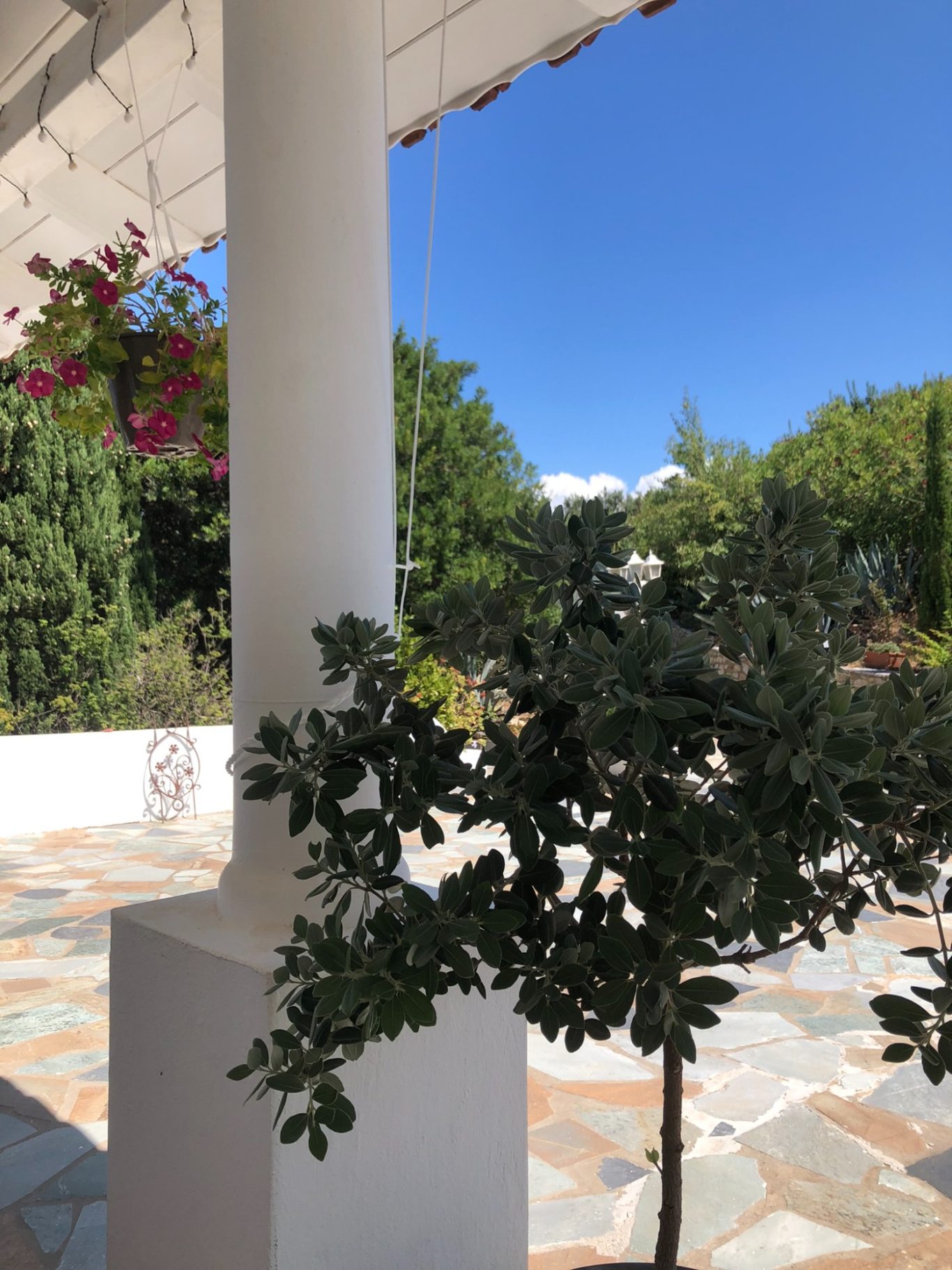 Rund ums Haus Rund ums Haus