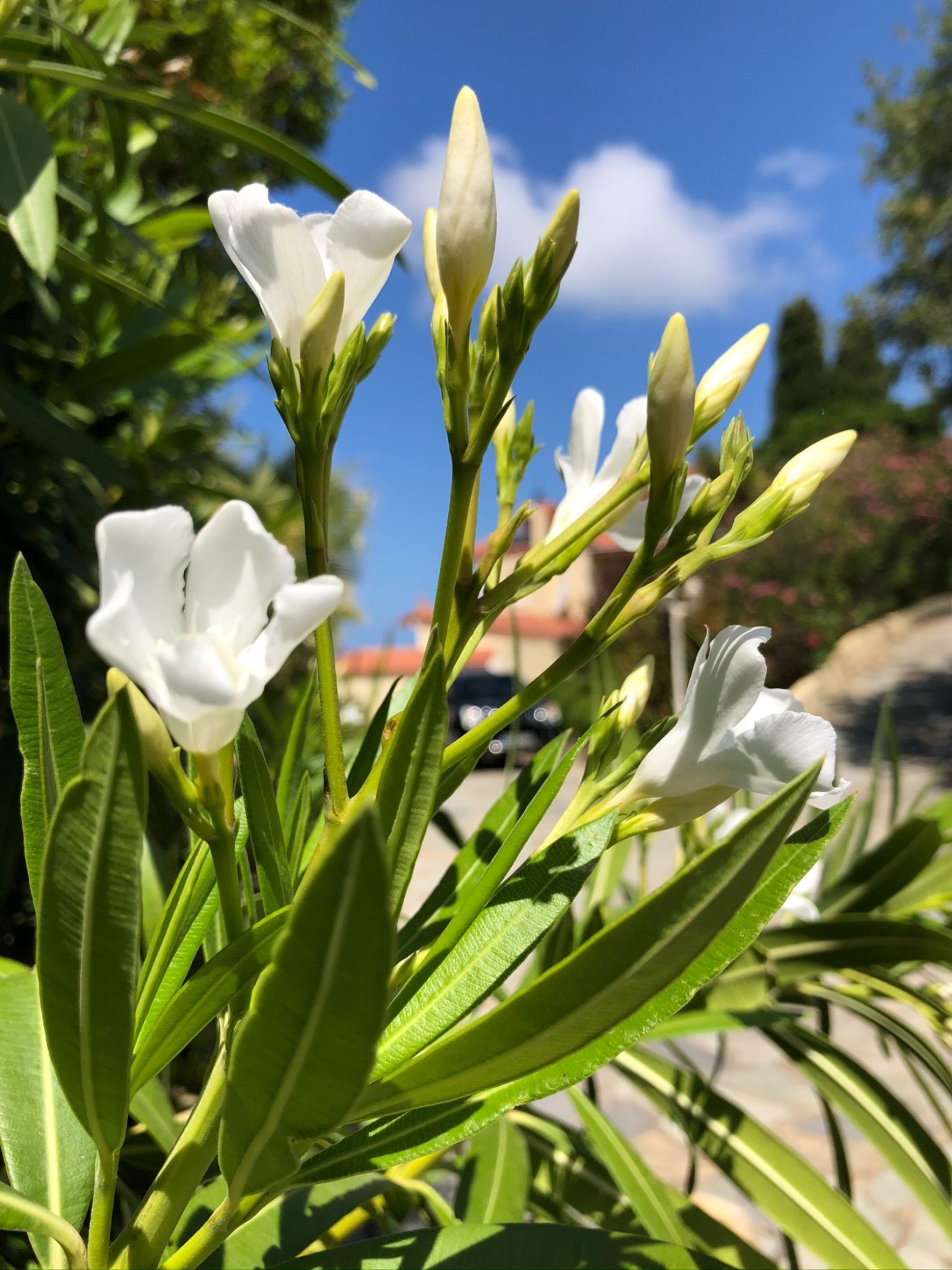 Rund ums Haus Rund ums Haus