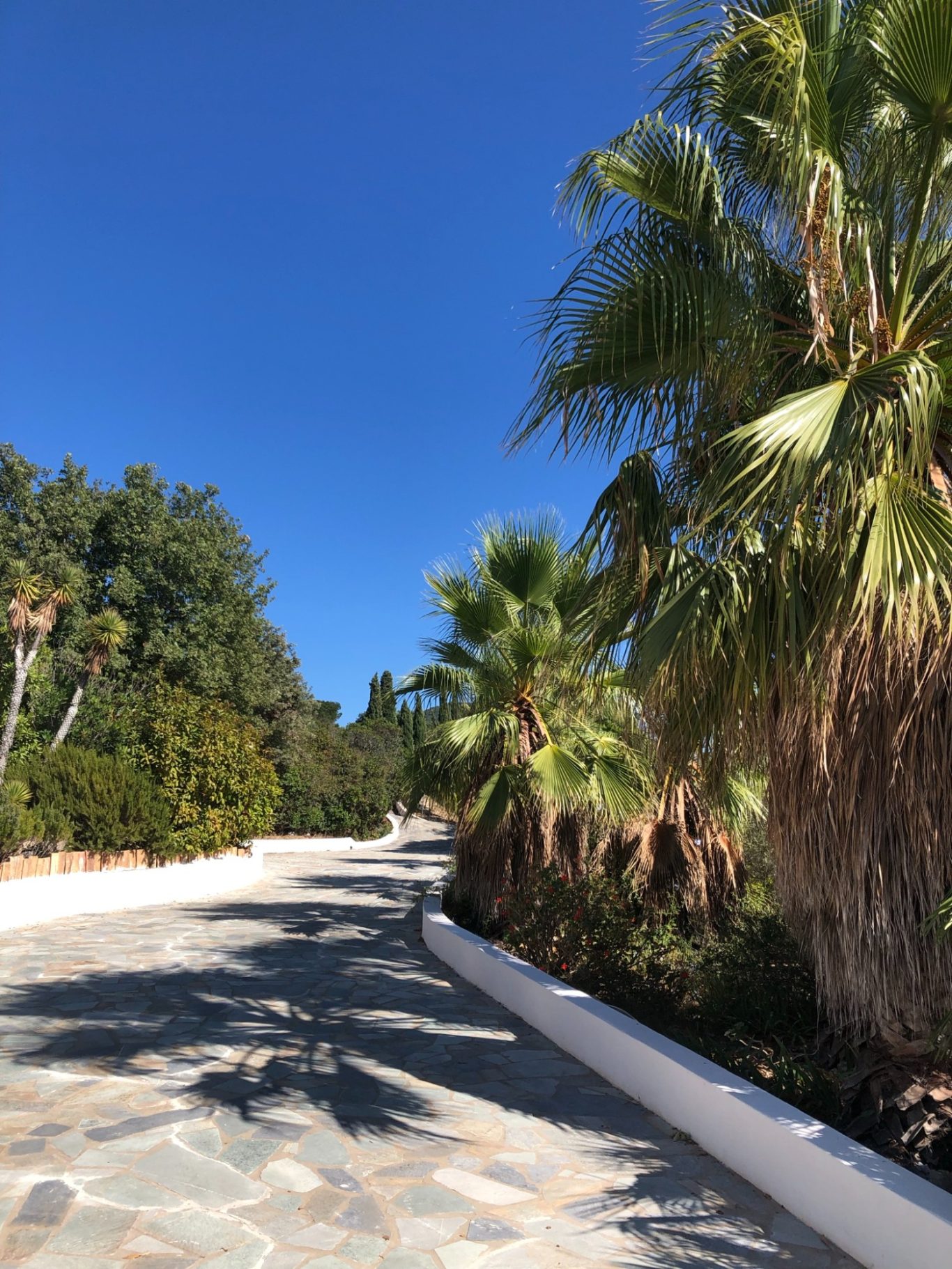 Zufahrt Rund ums Haus